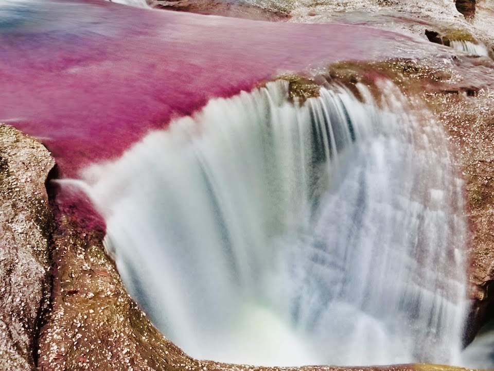 Cano Cristales Colombia Globetrotter duo